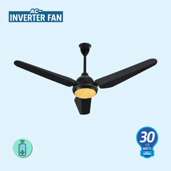 Crown AC Inverter Fan - Image 4